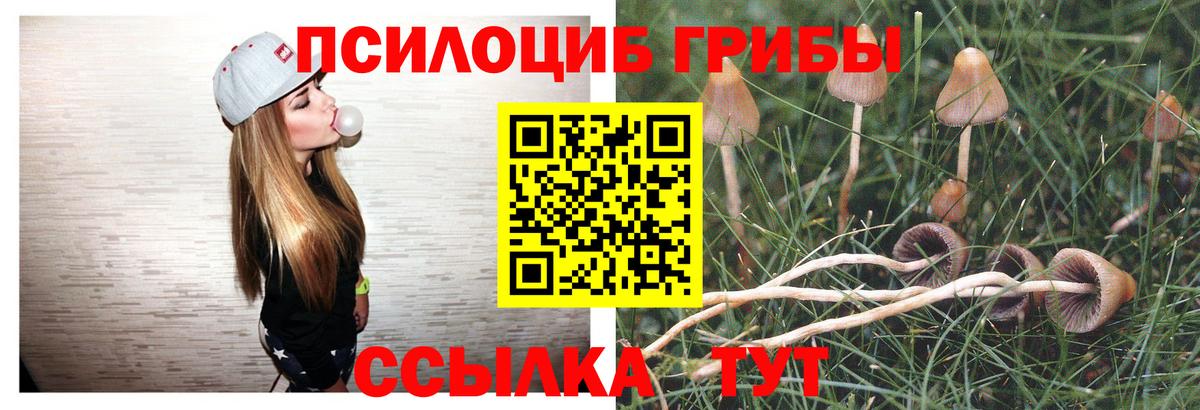 Псилоцибиновые грибы MAGIC MUSHROOMS  Вход с VPN  Тулун 