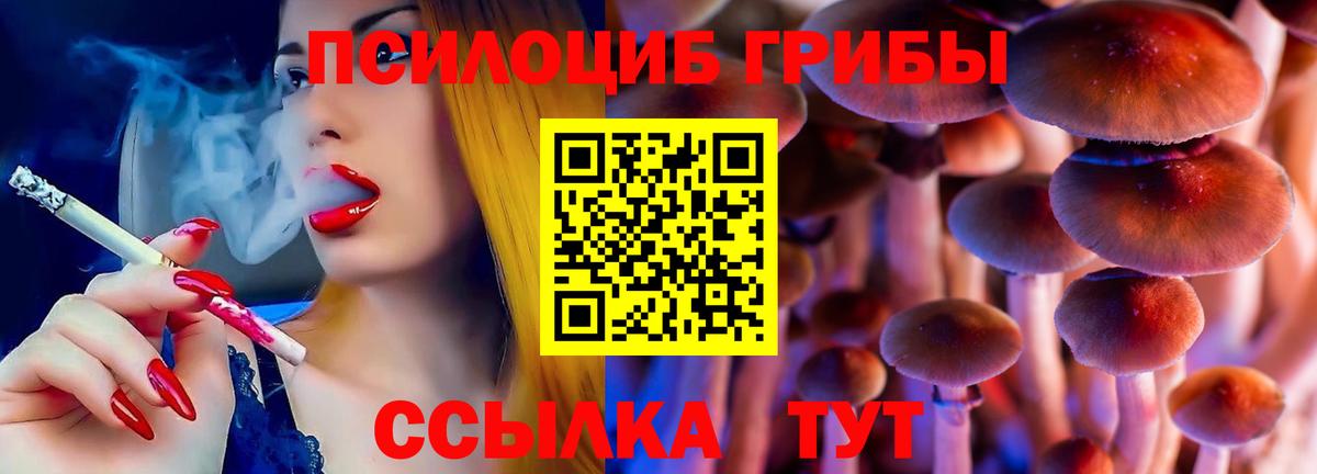 Галлюциногенные грибы Psilocybine cubensis Тулун